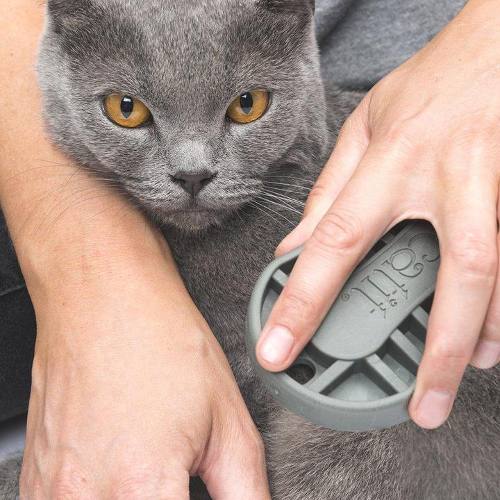 Produktbild Catit Bürsten-Set (Katze)