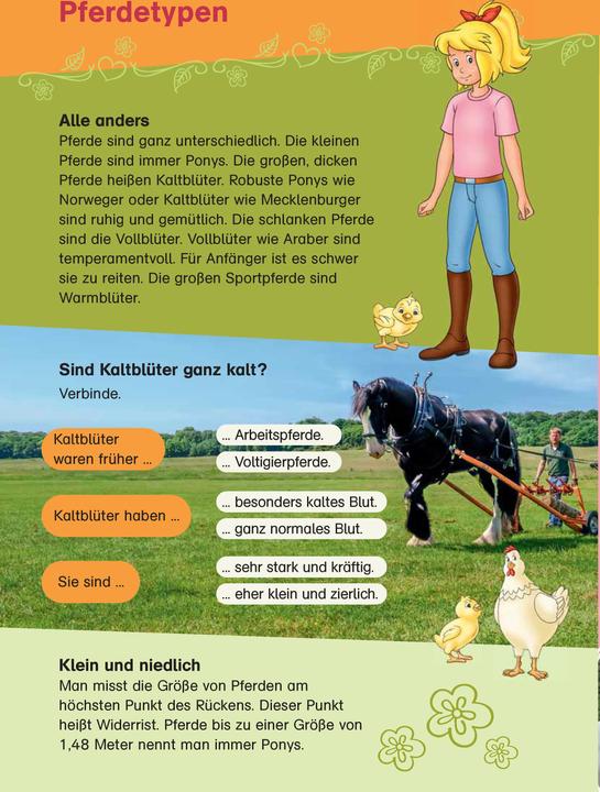 Actual product image Bibi & Tina: Das grosse Pferde-Quizbuch mit Bibi und Tina (German, Klett Learning Training, 2021)