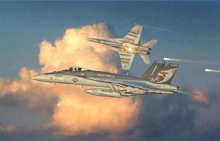 Actual product image 1:48 F/A-18E Super Hornet