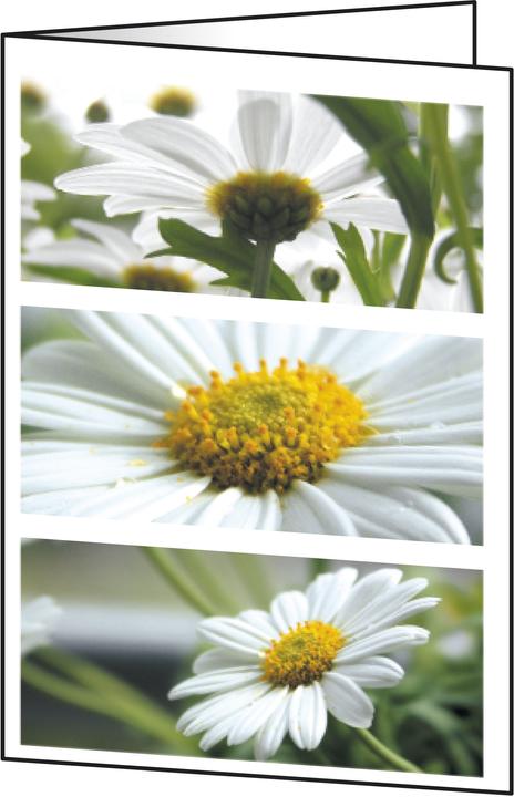 Immagine prodotto Sigel Carte a tema (25 pz.)