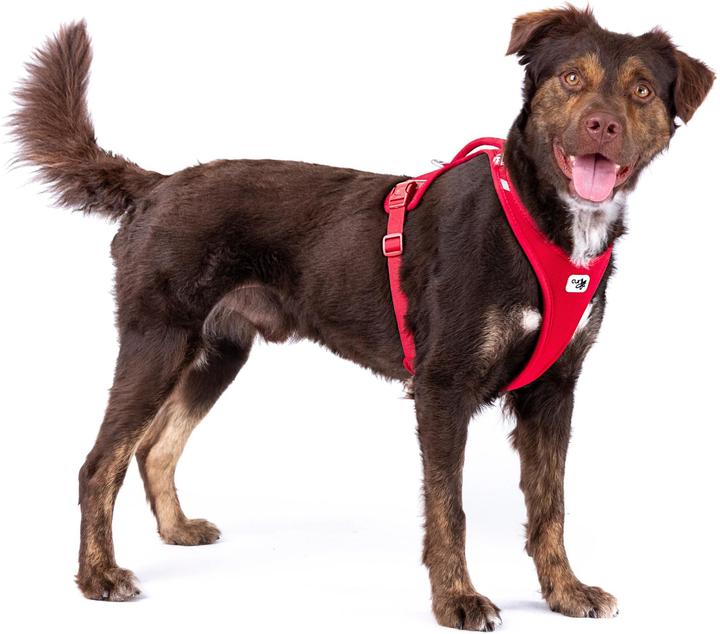 Actual product image Curli Belka Comfort Dog Harness All New Red 4XL (4XL, Dog, General)