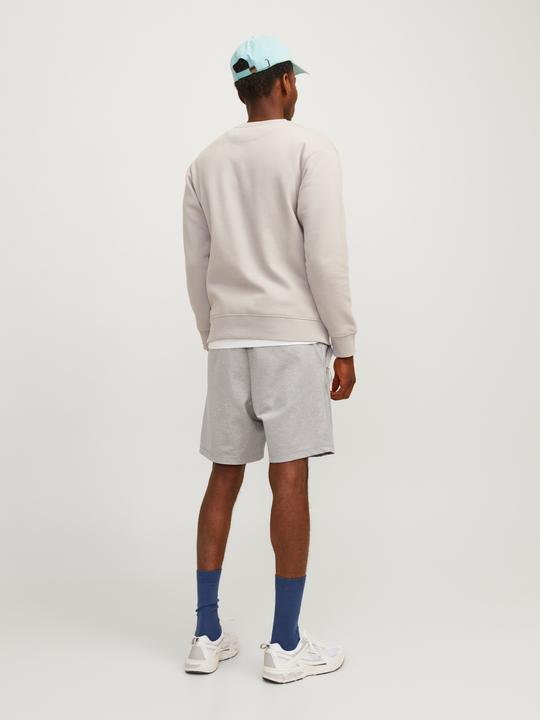 Produktbild Jack & Jones Tight Fit Regular Fit Shorts Regular Fit Shorts (S)