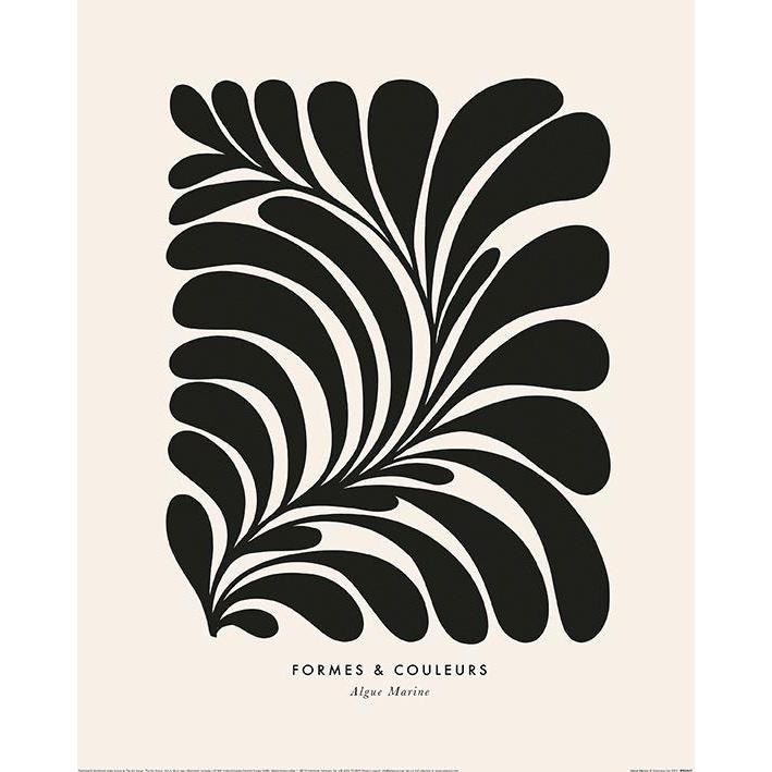 Image du produit Universal Textiles - Imprimé ALGUE MARINE (40 x 30 cm)