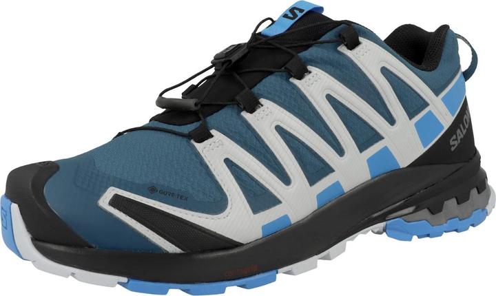 Produktbild Salomon XA PRO 3D V8 GTX MEN'S (43 1/3)