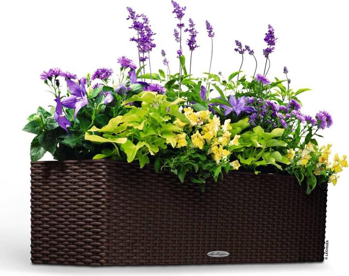 Produktbild Lechuza Balconera Cottage (19 cm)