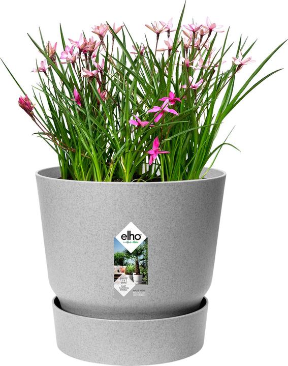 Produktbild Elho Greenville (14 cm)