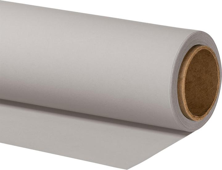 Walimex pro Hintergrundkarton 2,60x10m light grey Fotohintergrund Backdrop Fotostudio (260 cm)