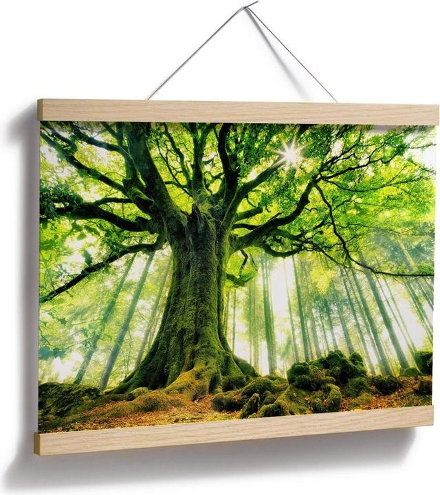 Immagine prodotto Trenddeko Kiciak - Foresta delle fiabe (30 x 24 cm)
