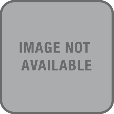 Actual product image Speedo Eco Endurance+ Medalist (W36/L40)