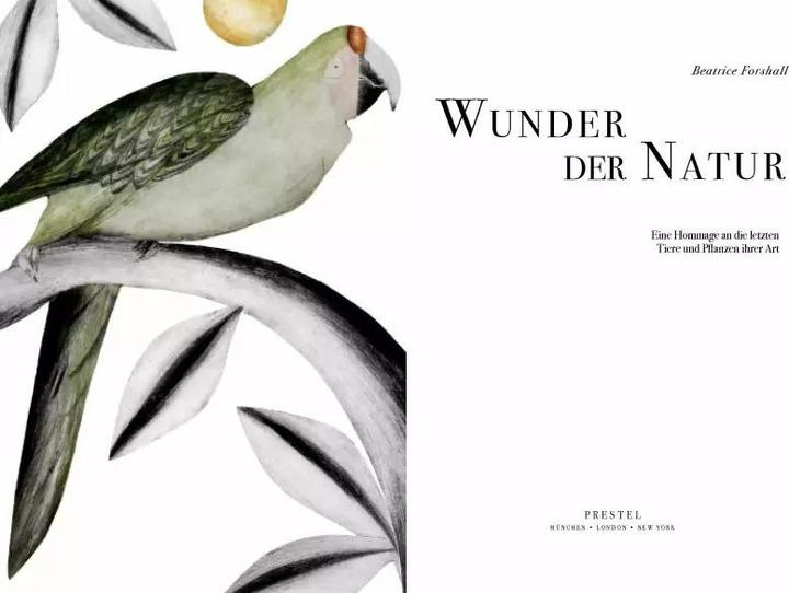 Produktbild Wunder der Natur (Deutsch, Beatrice Forshall, 2023)