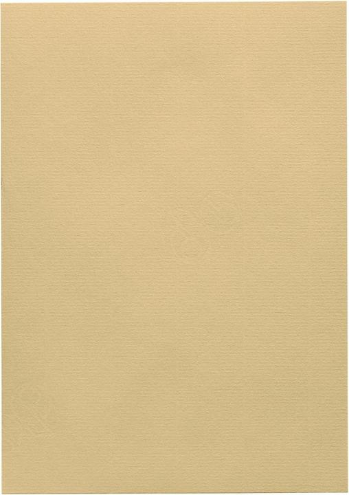 Actual product image Artoz 1001 A4 220g baileys 5 cartons (220 g/m², 5 x)