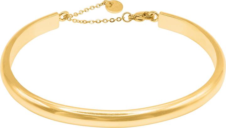 Heideman Calvus goldfarben (100% Edelstahl)