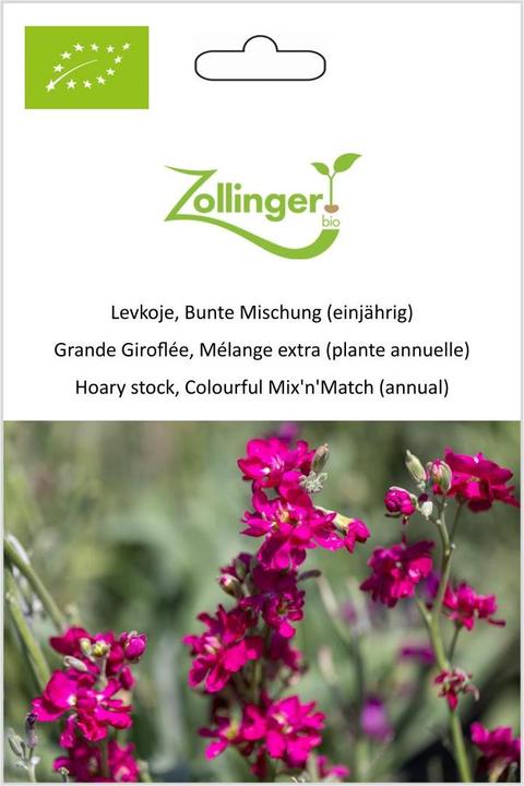 Immagine prodotto Zollinger Bio Levkoje, Miscela variegata (annuale) (Pianta bulbosa)