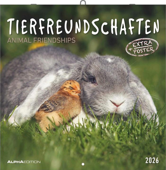 Image du produit Tierfreundschaften2026-Broschürenkalender30x30cm(30x60geöffnet)-Kalende (Néerlandais, Anglais)