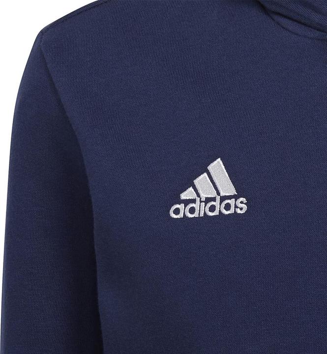 Produktbild adidas Entrada 22 Kapuzenpullover Kinder (164)