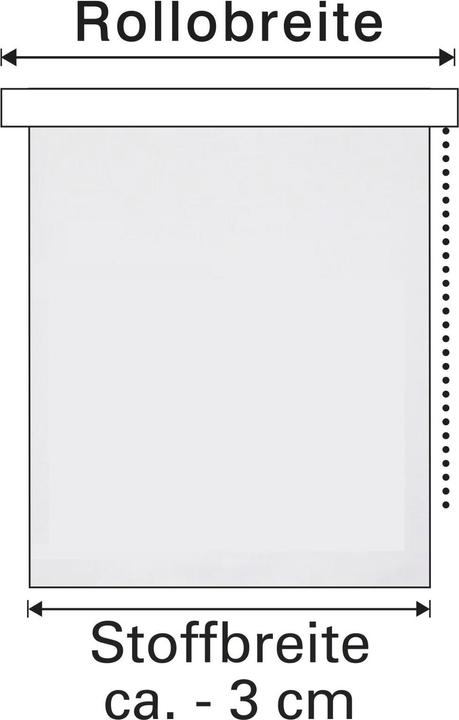 Produktbild Gardinia Rollo Thermo (60 x 150 cm)