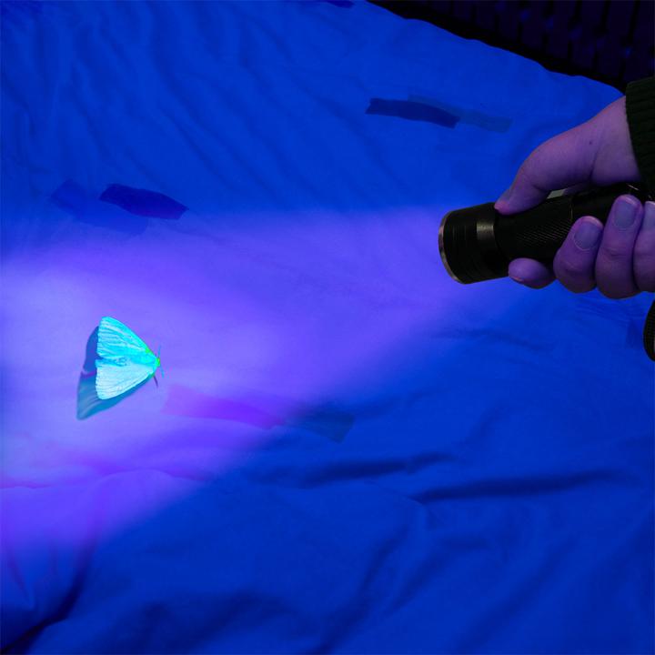 Image du produit Casativo 2in1 UV-Taschenlampe und Geldschein-/Ausweisprüfer, 21 LEDs, Batteriebetrieb (9.70 cm)