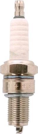 Immagine prodotto Benassi Aspiratore per foglie AF 100 su ruote da spingere (Benzina, Aspirafoglie)