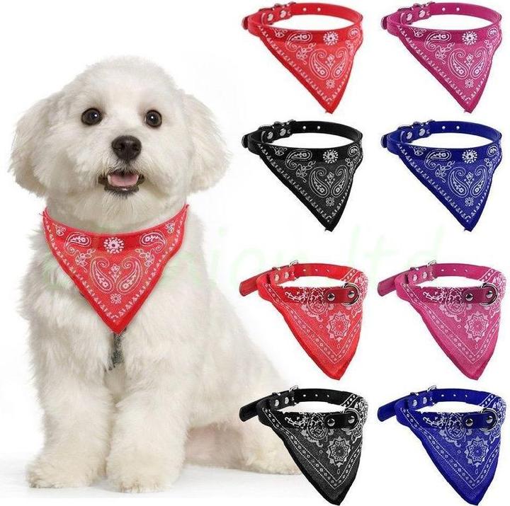 Produktbild Hermex Hundehalsband mit Tuch Bandana Katze Einstellbar Leder Stoff S BLAU (S, Hund, Hundesport)
