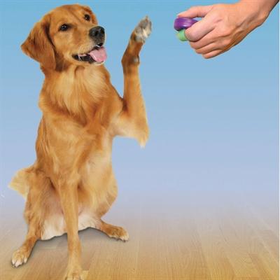 Actual product image PetSafe Clik-R™ clicker training tool klikeris