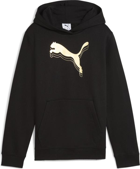 Produktbild Puma ESS METALLIC Hoodie FL G (128)
