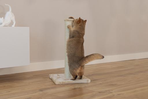 Image du produit Beeztees Mobilier pour chats (60 cm, Beige)