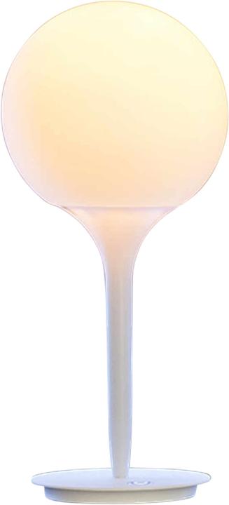 Actual product image Artemide Castore (1227 lm, E27)
