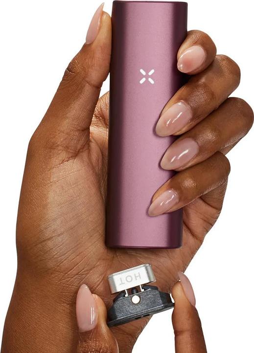 Produktbild Pax Plus Elderberrry Kit