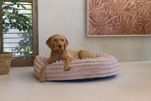 Productafbeelding Designed by Lotte Reza ligkussen (Hond)