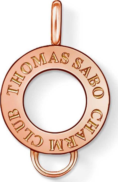 Actual product image Thomas Sabo Carrier 925 (Silver)
