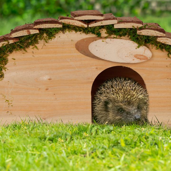 Actual product image Relaxdays Hedgehog House