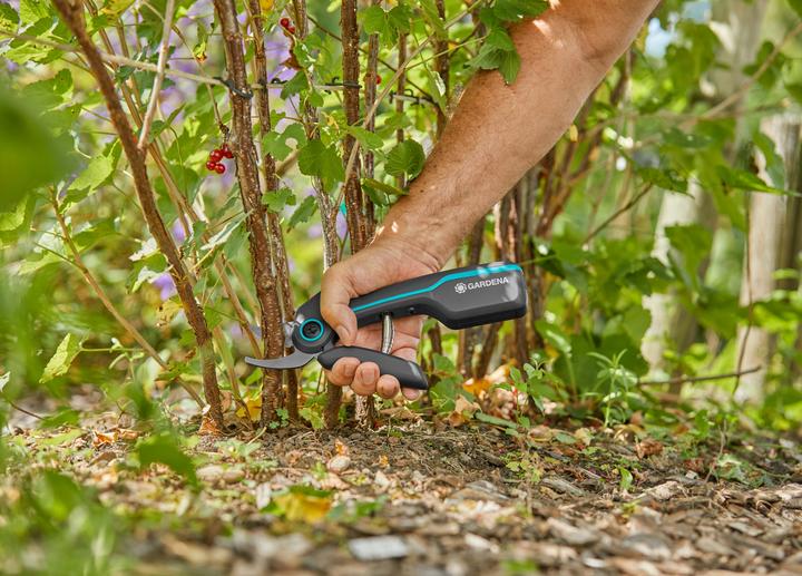 Image du produit Gardena AssistCut
