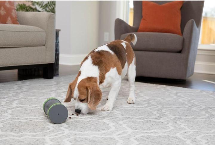 Image du produit PetSafe Distributeur mobile de croquettes Kibble Chase™ (Jouet d'occupation chien)