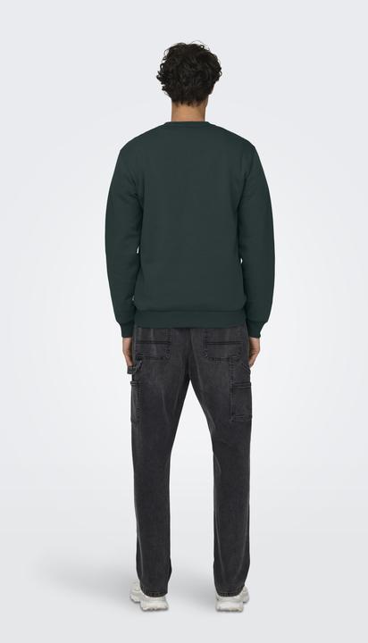 Produktbild Only & Sons Onsceres Crew Neck Noos (S)