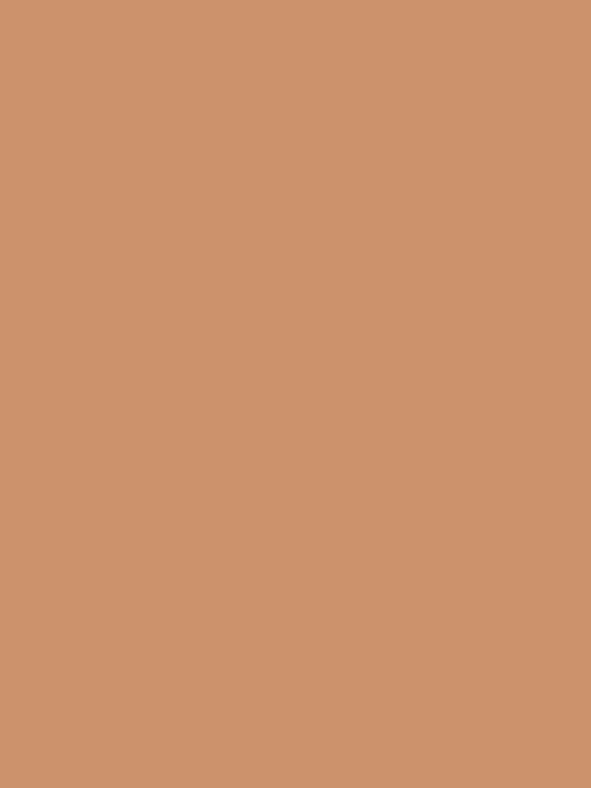 Produktbild Bleuforêt Nude Strumpfhose 12D (S/M)