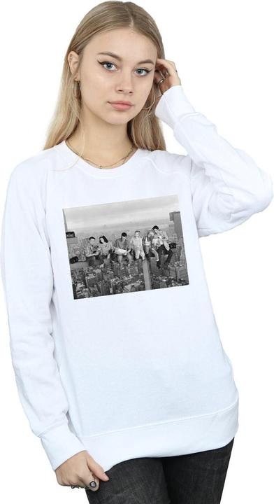 Produktbild Friends Construction Photo Sweatshirt (XL)