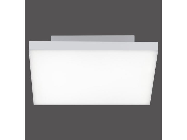 Actual product image Paul Neuhaus canvas (1800 lm)