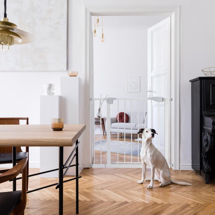 Immagine prodotto Relaxdays Cancello di sicurezza per porte (5 cm)