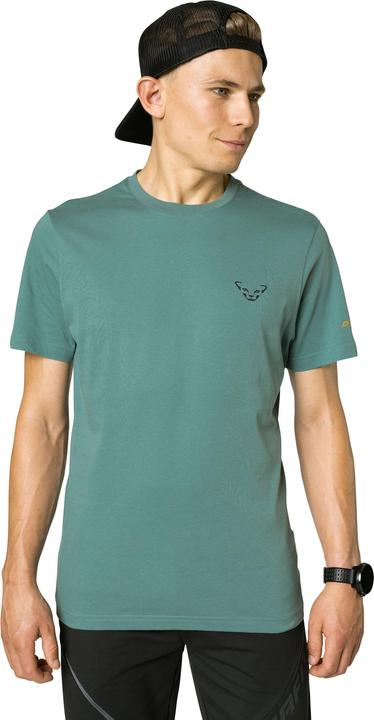 Actual product image Dynafit 24/7 Graphic T-Shirt (M)