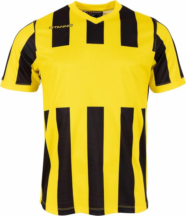 Stanno Aspire Trikot