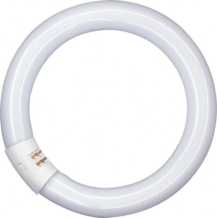 Actual product image Osram Fluorescent tube (G10q, 22 W, 1350 lm, 1 x, G)