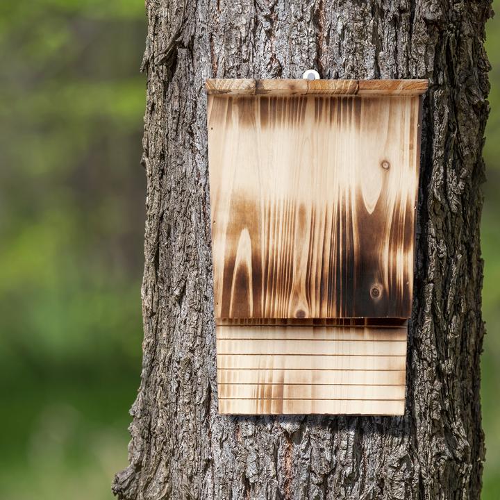Actual product image Relaxdays Bat box