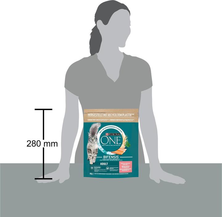 Produktbild Purina ONE Lachs und Vollkorn (Adult, 1 Stk., 800 g)