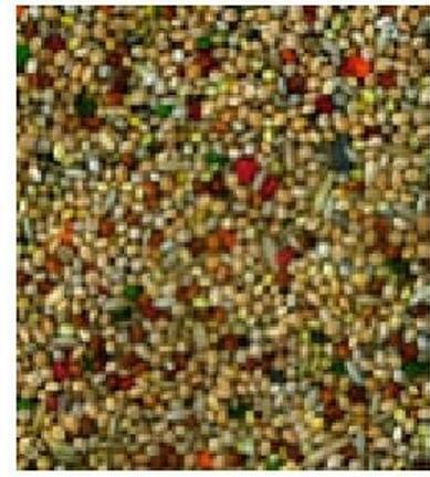 Image du produit Schweizer Mélange de qualité pour perruches (1 x, 1 kg)