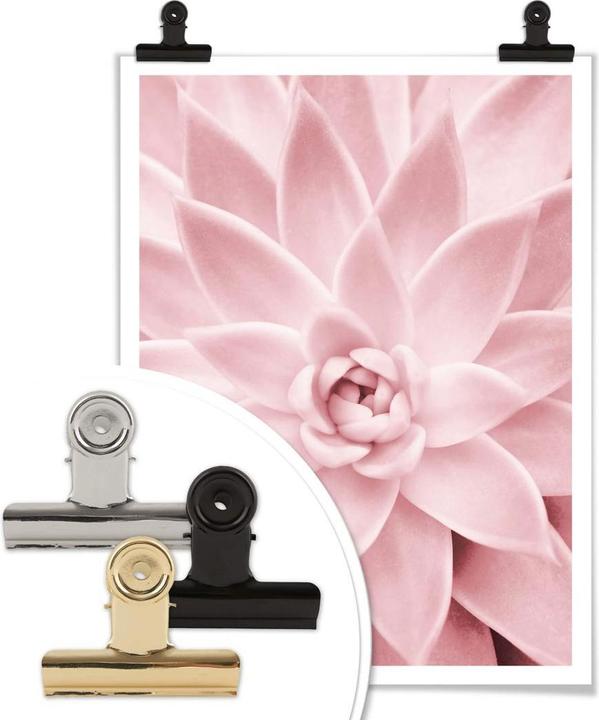 Produktbild Trenddeko Rosa Sukkulente (30 x 40 cm)