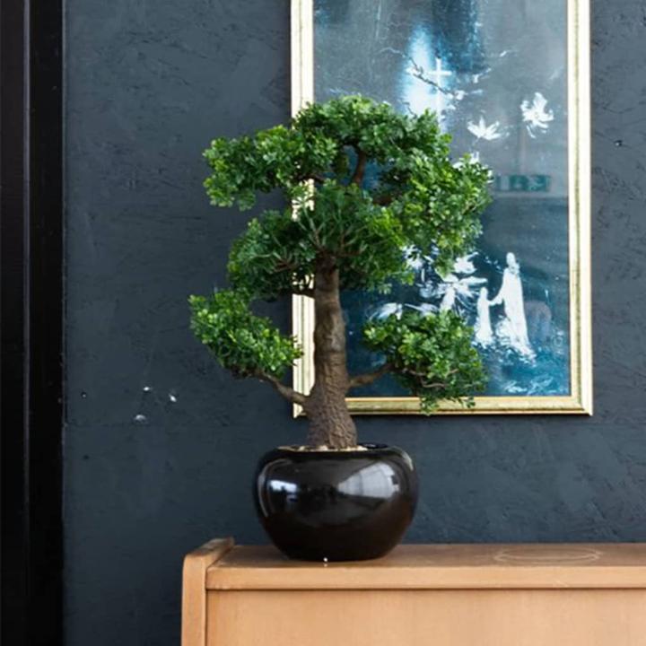 Image du produit Emerald Allan (47 cm)