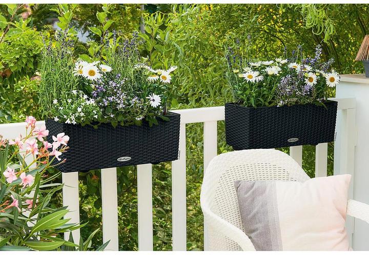 Actual product image Lechuza Balconera Cottage (19 cm)