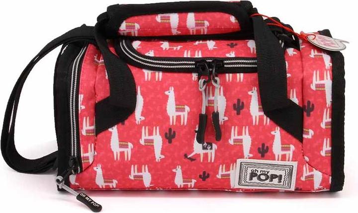 Actual product image Oh My Pop! Mailbox Lunch Bag Cuzco
