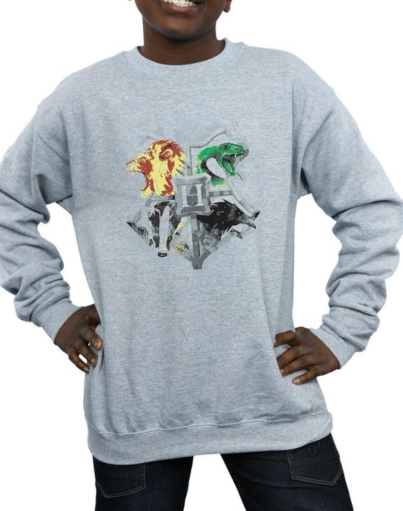 Image du produit - Sweat HOGWARTS PAINTED CREST - Garçon (152, 158)