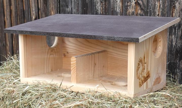 Actual product image Arbrikadrex Squirrel Feeder